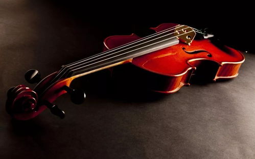 10首中国小提琴名曲,让人陶醉在琴声中